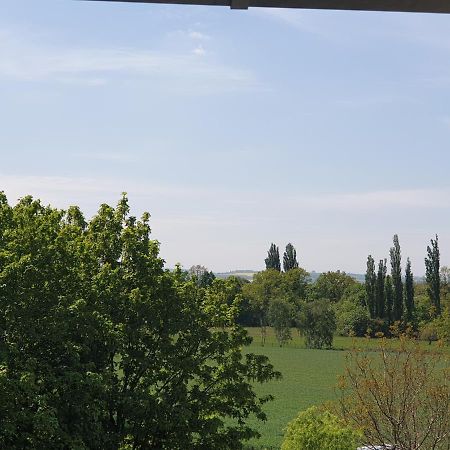 دريسدن Villa Cosel المظهر الخارجي الصورة