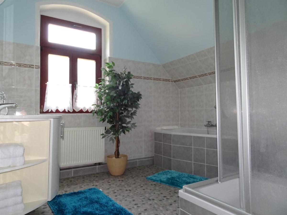 دريسدن Villa Cosel المظهر الخارجي الصورة