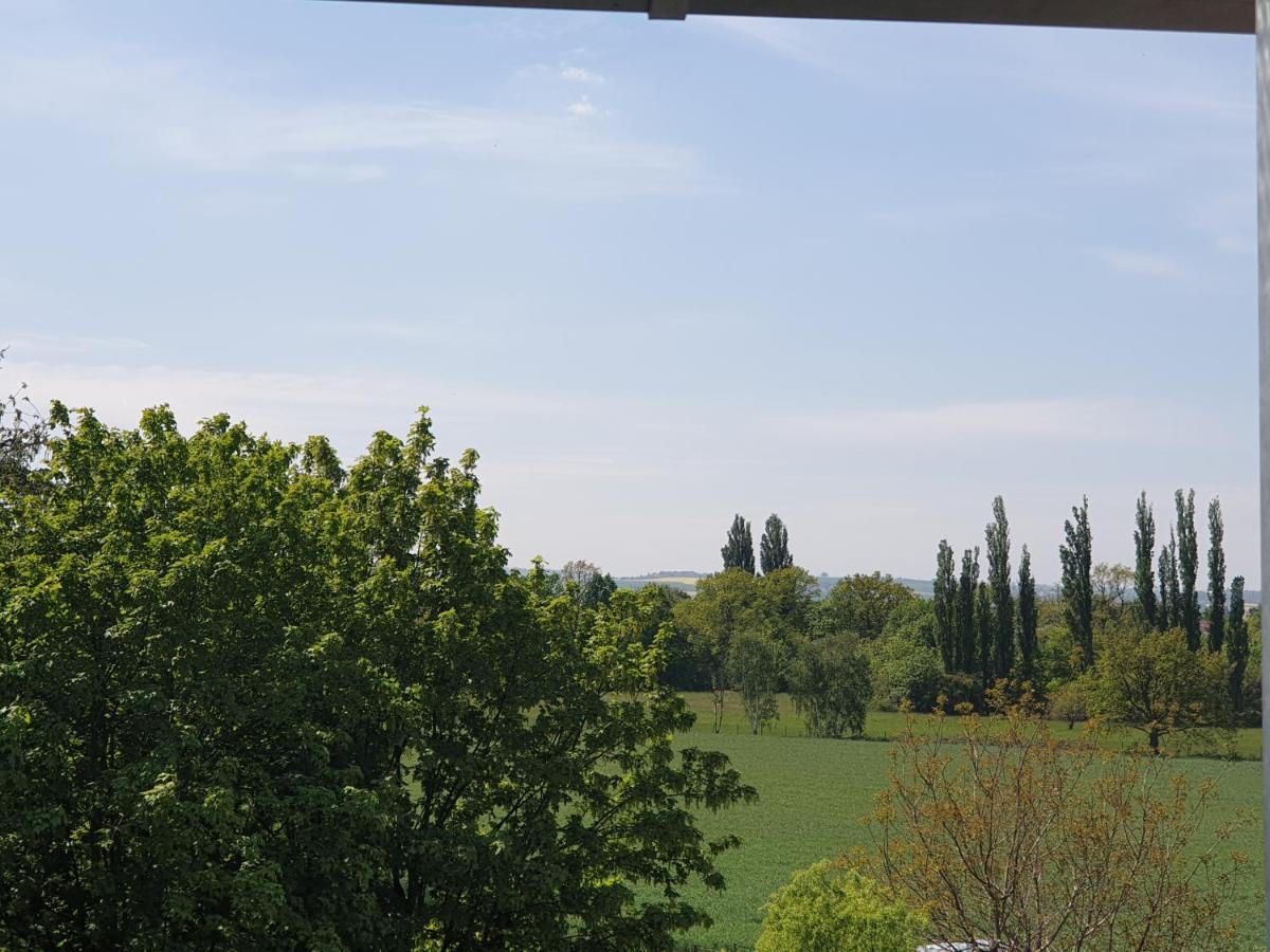 دريسدن Villa Cosel المظهر الخارجي الصورة